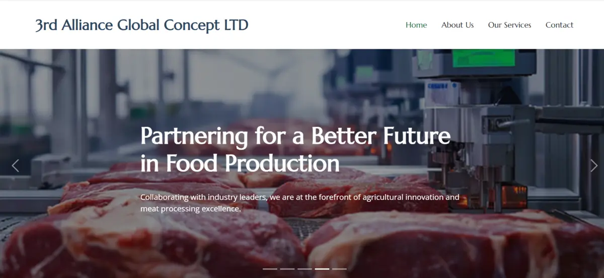 3rd Alliance cover image